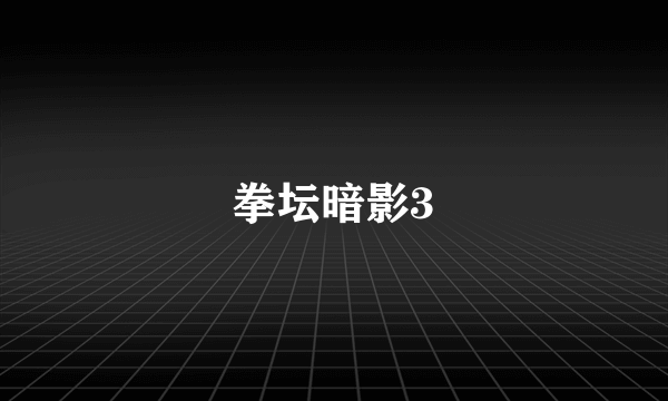 拳坛暗影3