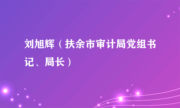 刘旭辉（扶余市审计局党组书记、局长）