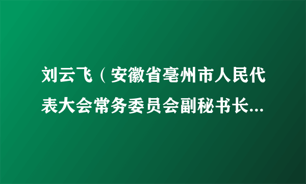 刘云飞（安徽省亳州市人民代表大会常务委员会副秘书长，九三学社亳州市筹委会副主任委员）