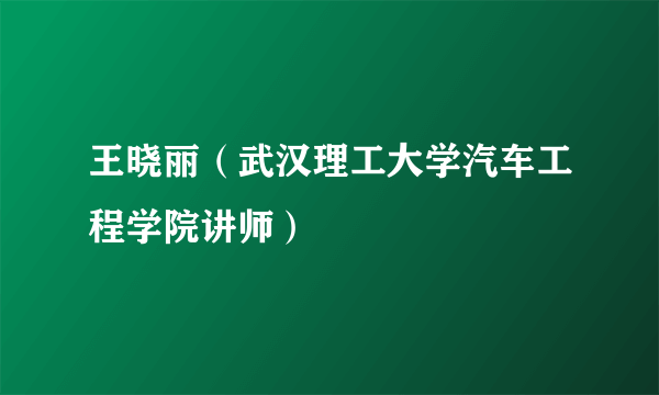 王晓丽（武汉理工大学汽车工程学院讲师）