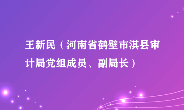 王新民（河南省鹤壁市淇县审计局党组成员、副局长）