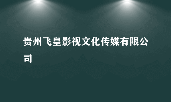 贵州飞皇影视文化传媒有限公司