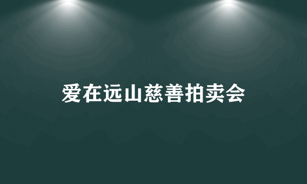 爱在远山慈善拍卖会