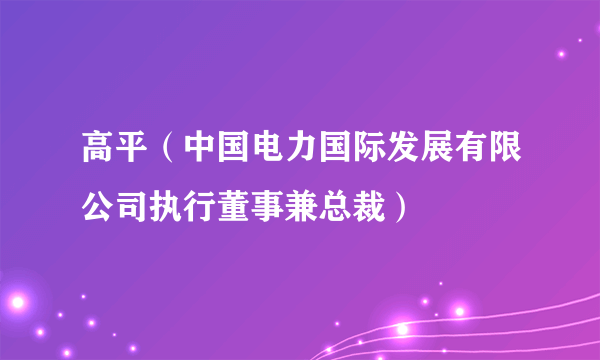 高平（中国电力国际发展有限公司执行董事兼总裁）