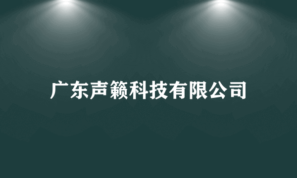 广东声籁科技有限公司