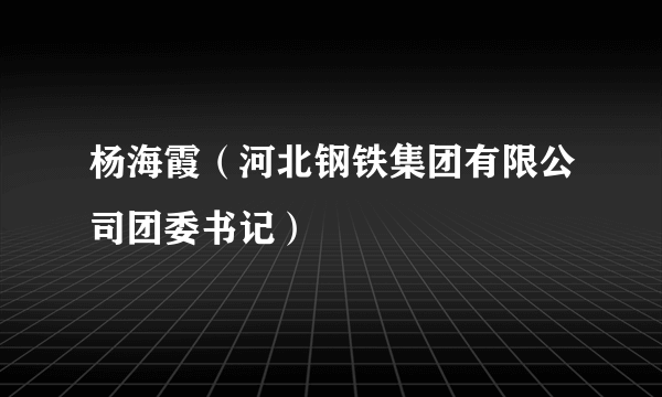 杨海霞（河北钢铁集团有限公司团委书记）