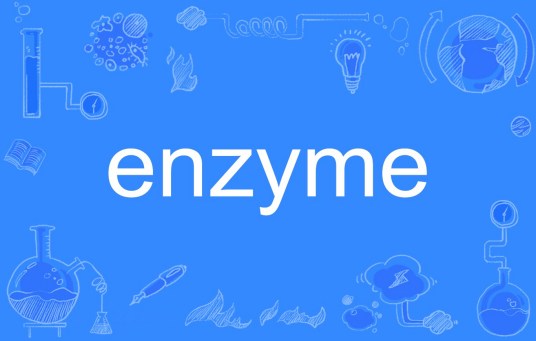 enzyme