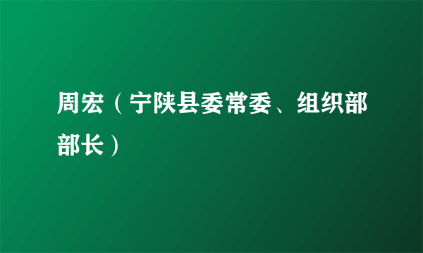 周宏（宁陕县委常委、组织部部长）