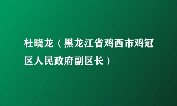 杜晓龙（黑龙江省鸡西市鸡冠区人民政府副区长）