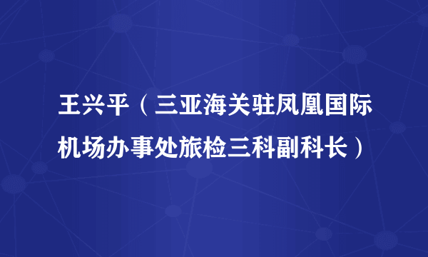 王兴平（三亚海关驻凤凰国际机场办事处旅检三科副科长）