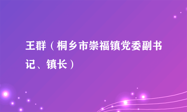 王群（桐乡市崇福镇党委副书记、镇长）