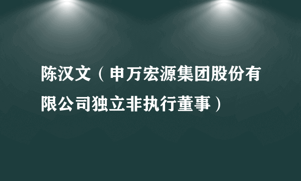 陈汉文（申万宏源集团股份有限公司独立非执行董事）