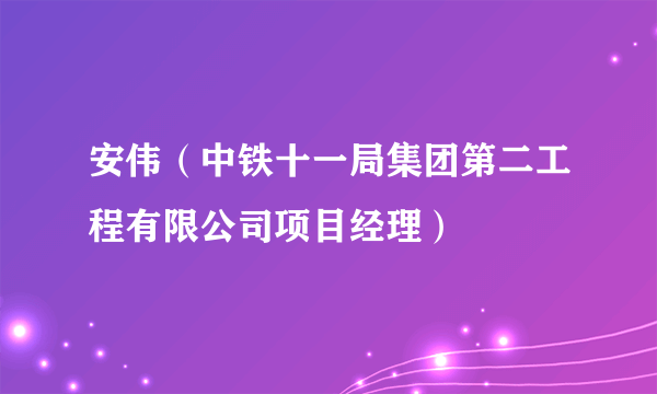 安伟（中铁十一局集团第二工程有限公司项目经理）