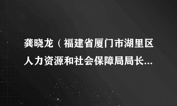 龚晓龙（福建省厦门市湖里区人力资源和社会保障局局长助理（挂职））