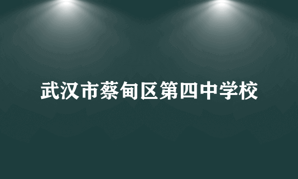 武汉市蔡甸区第四中学校