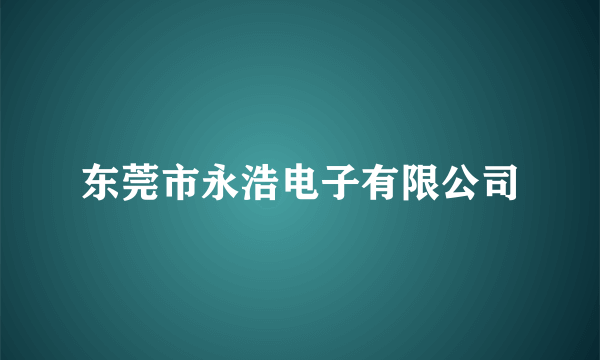 东莞市永浩电子有限公司