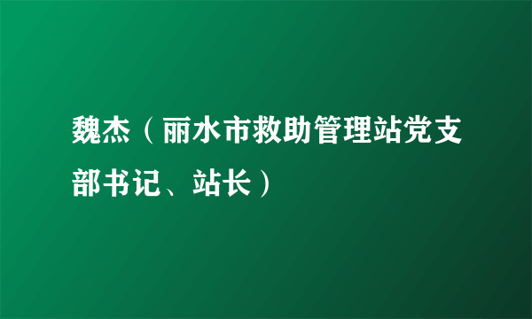 魏杰（丽水市救助管理站党支部书记、站长）