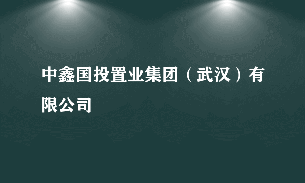 中鑫国投置业集团（武汉）有限公司