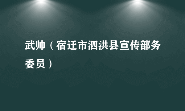 武帅（宿迁市泗洪县宣传部务委员）