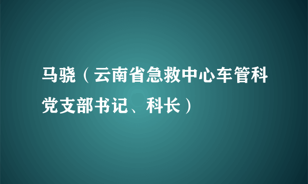 马骁（云南省急救中心车管科党支部书记、科长）