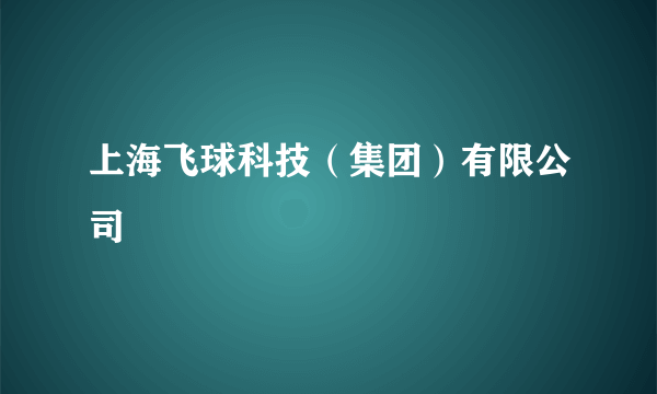 上海飞球科技（集团）有限公司