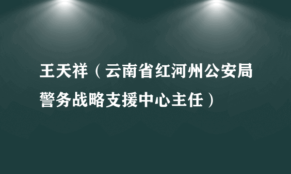 王天祥（云南省红河州公安局警务战略支援中心主任）