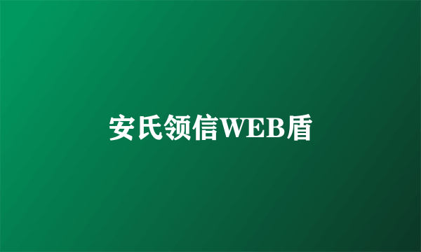 安氏领信WEB盾