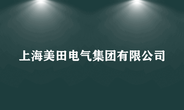 上海美田电气集团有限公司