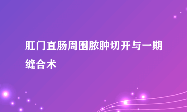 肛门直肠周围脓肿切开与一期缝合术