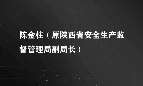 陈金柱（原陕西省安全生产监督管理局副局长）