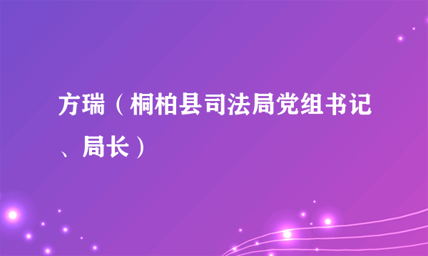 方瑞（桐柏县司法局党组书记、局长）