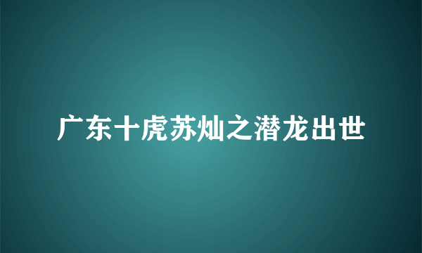 广东十虎苏灿之潜龙出世