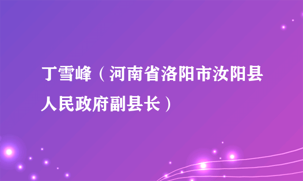 丁雪峰（河南省洛阳市汝阳县人民政府副县长）