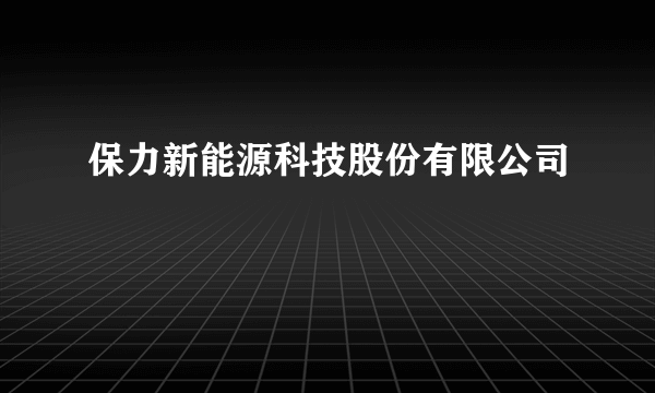 保力新能源科技股份有限公司