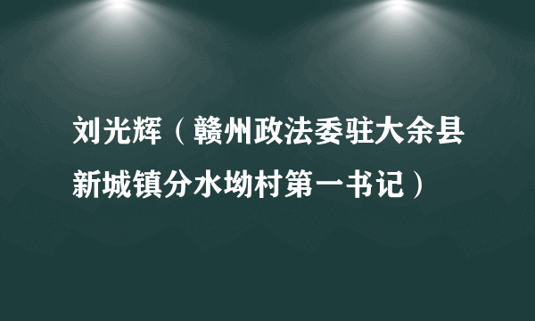 刘光辉（赣州政法委驻大余县新城镇分水坳村第一书记）