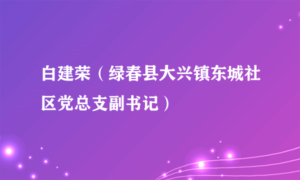 白建荣（绿春县大兴镇东城社区党总支副书记）