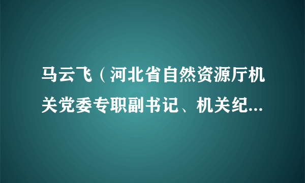 马云飞（河北省自然资源厅机关党委专职副书记、机关纪委书记）