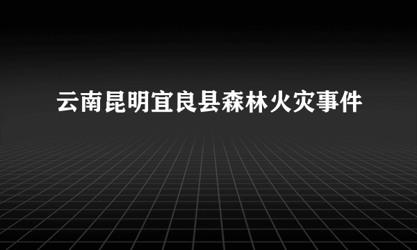 云南昆明宜良县森林火灾事件