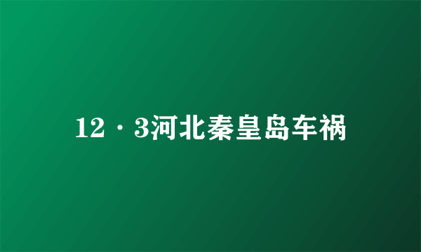 12·3河北秦皇岛车祸