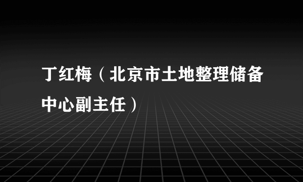 丁红梅（北京市土地整理储备中心副主任）