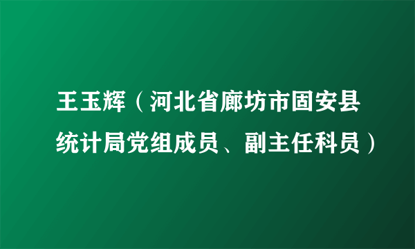 王玉辉（河北省廊坊市固安县统计局党组成员、副主任科员）