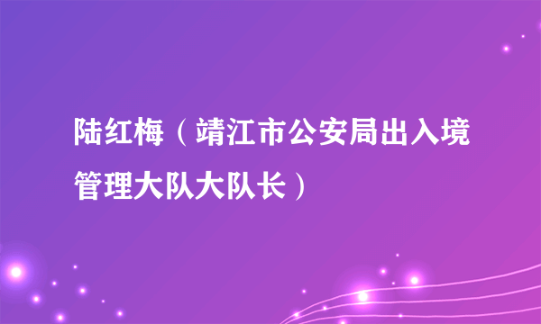 陆红梅（靖江市公安局出入境管理大队大队长）