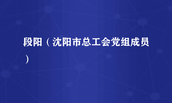 段阳（沈阳市总工会党组成员）