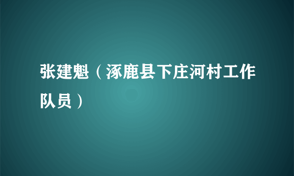 张建魁（涿鹿县下庄河村工作队员）