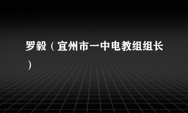 罗毅（宜州市一中电教组组长）