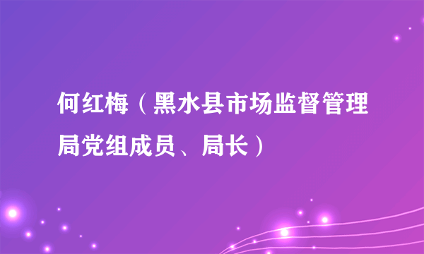 何红梅（黑水县市场监督管理局党组成员、局长）