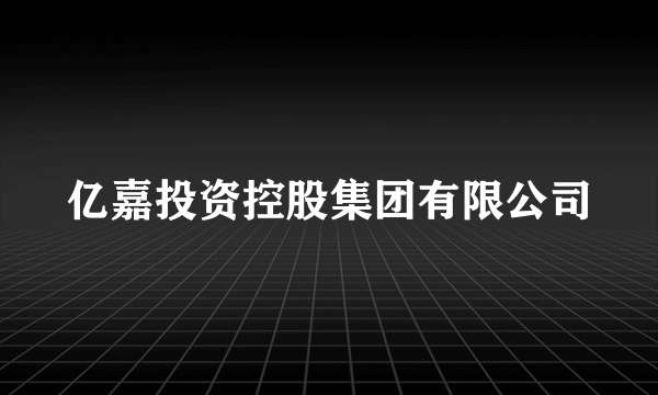 亿嘉投资控股集团有限公司