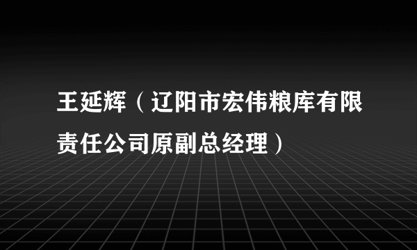 王延辉（辽阳市宏伟粮库有限责任公司原副总经理）