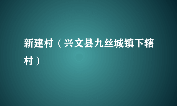 新建村（兴文县九丝城镇下辖村）