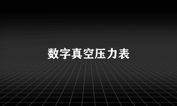 数字真空压力表